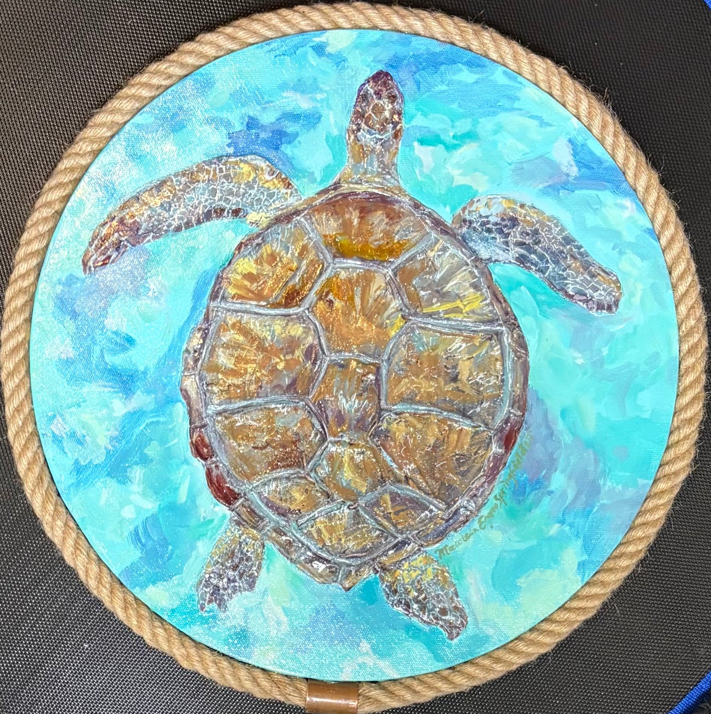 Tidal Guardian (Sea Turtle Study)