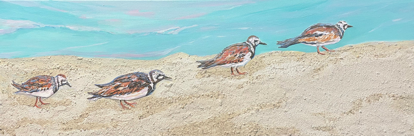 Turnstones -Original Acrylic Painting
