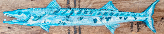 Baracuda