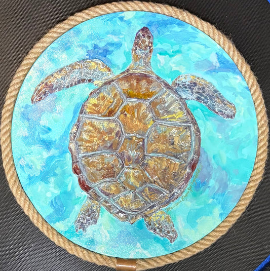 Tidal Guardian (Sea Turtle Study)