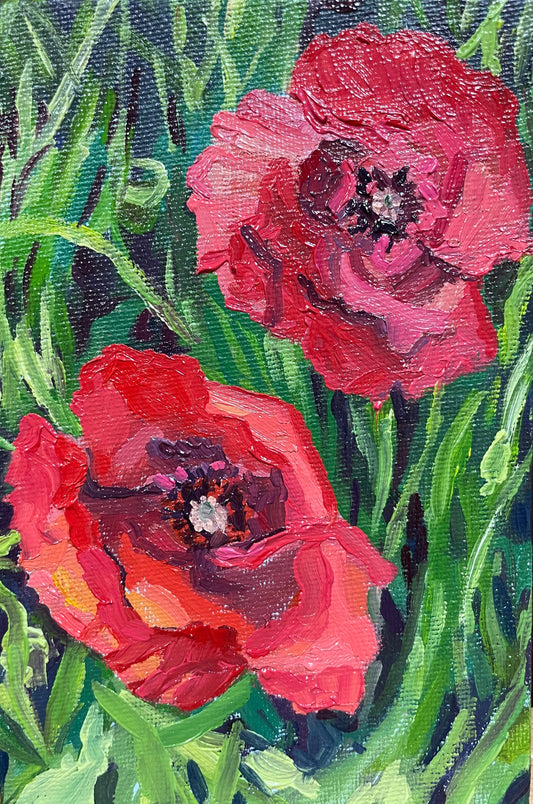 Poppies